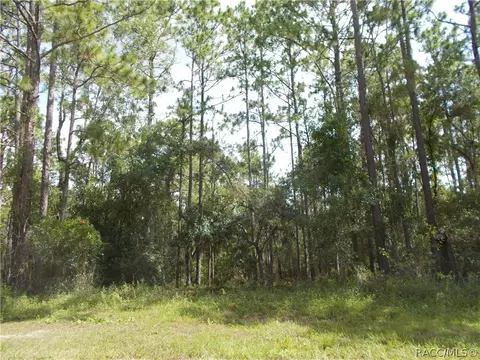1853 W Stafford St, Hernando, FL 34442 photo 2