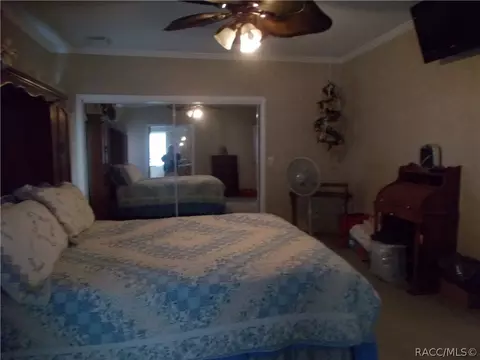 6085 N Tsala Apopka Dr, Hernando, FL 34442 photo 13
