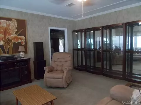 6085 N Tsala Apopka Dr, Hernando, FL 34442 photo 8