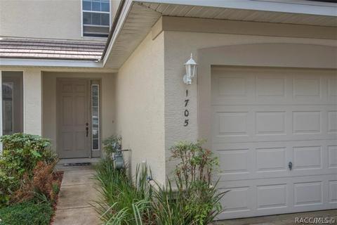 1705 W Spring Meadow Loop, Lecanto, FL 34461 photo 5