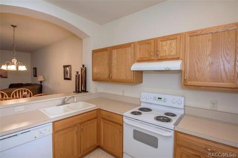 1705 W Spring Meadow Loop, Lecanto, FL 34461 photo 10