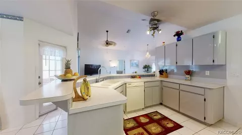 751 E Falconry Ct, Hernando, FL 34442 photo 19