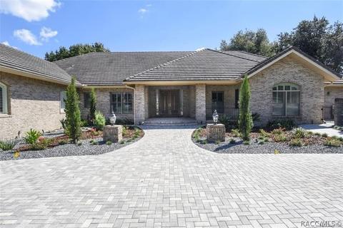 3968 N Grayhawk Loop, Lecanto, FL 34461 photo 21