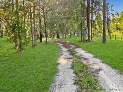 1251 NE 160th Ave, Williston, FL 32696 photo 2