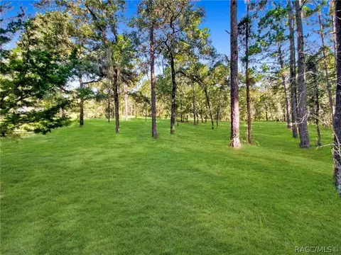 1251 NE 160th Ave, Williston, FL 32696 photo 28
