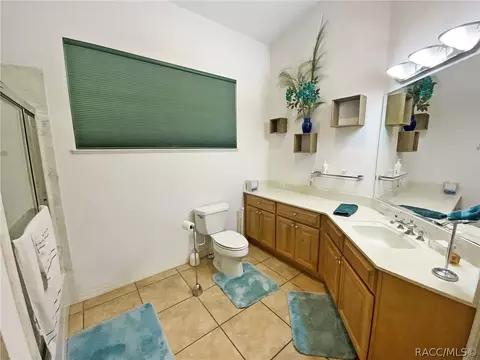 1251 NE 160th Ave, Williston, FL 32696 photo 17