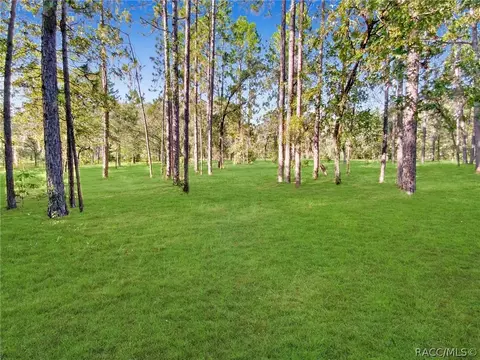 1251 NE 160th Ave, Williston, FL 32696 photo 29
