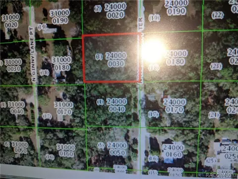11440 11410 Moonlight Ter N, Inglis, FL 34449 photo 3
