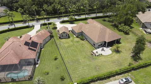 499 W Johnny Pesky Ct, Hernando, FL 34442 photo 42