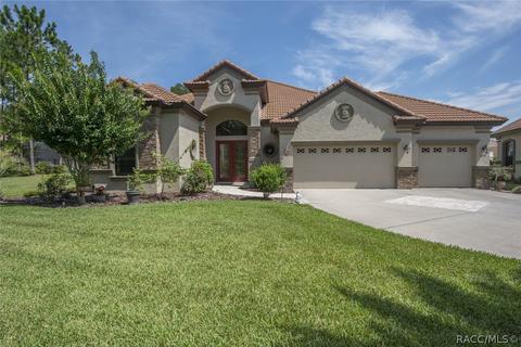 499 W Johnny Pesky Ct, Hernando, FL 34442 photo 1