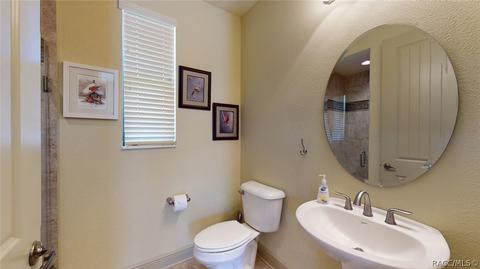 499 W Johnny Pesky Ct, Hernando, FL 34442 photo 38