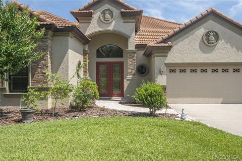 499 W Johnny Pesky Ct, Hernando, FL 34442 photo 49