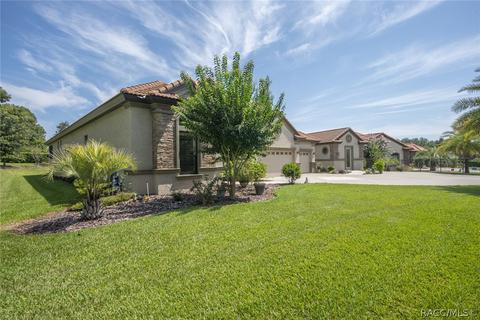 499 W Johnny Pesky Ct, Hernando, FL 34442 photo 47