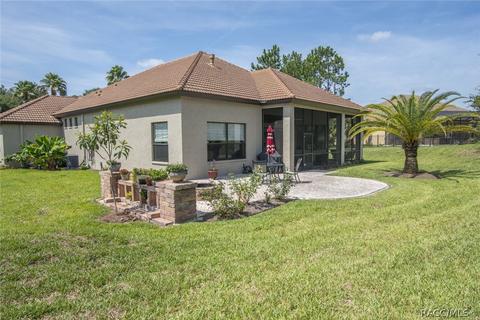 499 W Johnny Pesky Ct, Hernando, FL 34442 photo 45