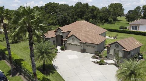499 W Johnny Pesky Ct, Hernando, FL 34442 photo 44