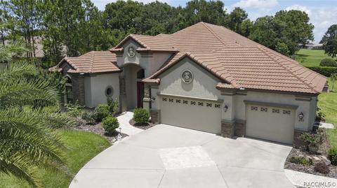 499 W Johnny Pesky Ct, Hernando, FL 34442 photo 40
