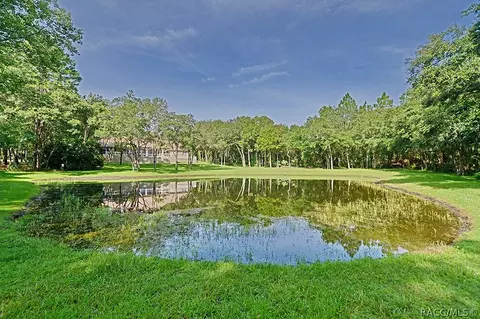 2285 N Overlook Path, Hernando, FL 34442 photo 40