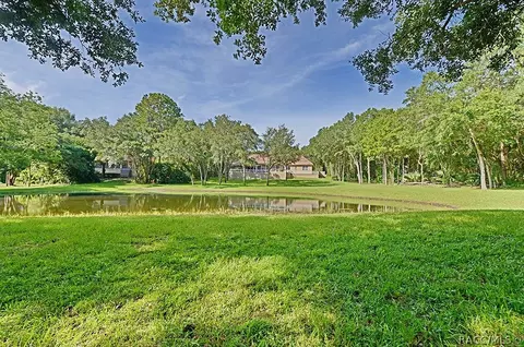 2285 N Overlook Path, Hernando, FL 34442 photo 39