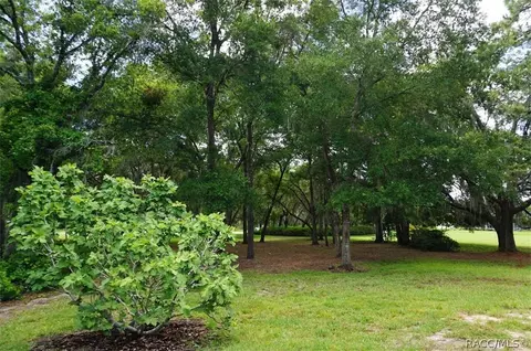 441 W Cobblestone Loop, Hernando, FL 34442 photo 28