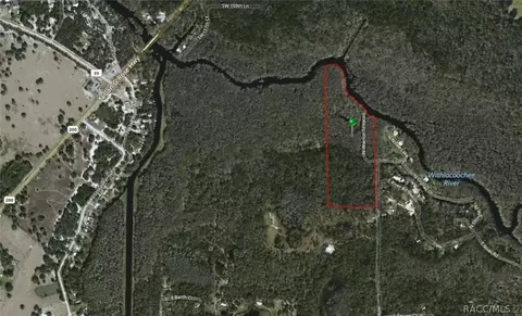 5685 E River Rd, Hernando, FL 34442 photo 8