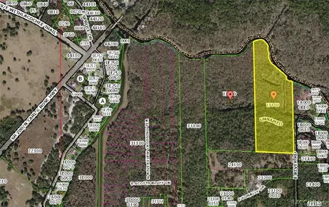 5685 E River Rd, Hernando, FL 34442 photo 1
