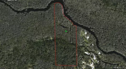 5685 E River Rd, Hernando, FL 34442 photo 9
