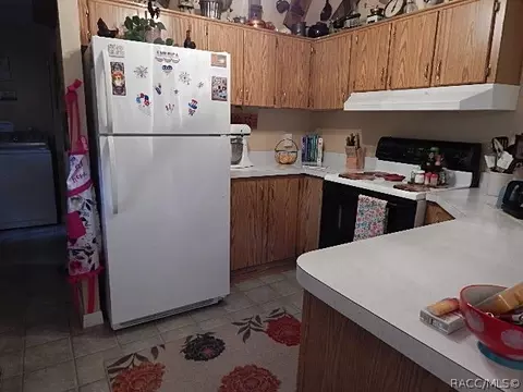 1908 Maryann Ln, Hernando, FL 34442 photo 4