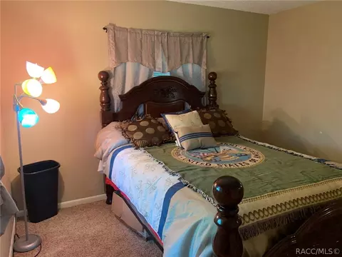 2335 Waterfall Dr, Spring Hill, FL 34608 photo 18