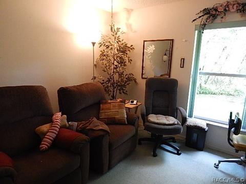 6208 E Rush St, Inverness, FL 34452 photo 11
