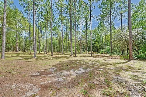 2000 N Frazier Ter, Hernando, FL 34442 photo 40