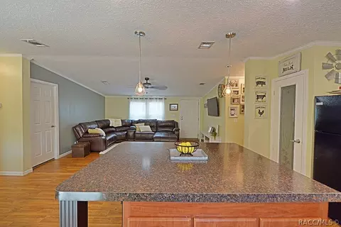 2000 N Frazier Ter, Hernando, FL 34442 photo 10