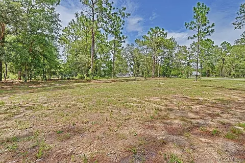 2000 N Frazier Ter, Hernando, FL 34442 photo 35