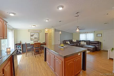 2000 N Frazier Ter, Hernando, FL 34442 photo 9