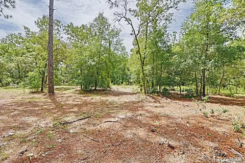 2000 N Frazier Ter, Hernando, FL 34442 photo 45