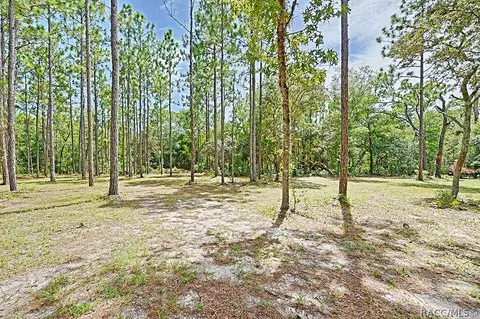2000 N Frazier Ter, Hernando, FL 34442 photo 38