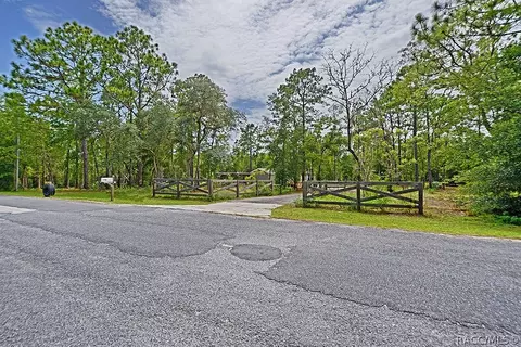 2000 N Frazier Ter, Hernando, FL 34442 photo 47