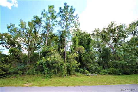 1634 E Cleveland St, Hernando, FL 34442 photo 11
