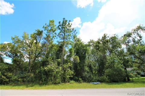 1634 E Cleveland St, Hernando, FL 34442 photo 6