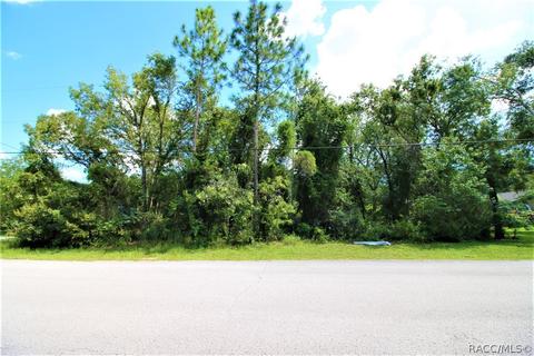 1634 E Cleveland St, Hernando, FL 34442 photo 5