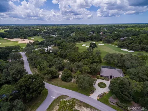4671 N Pine Valley Loop, Lecanto, FL 34461 photo 49