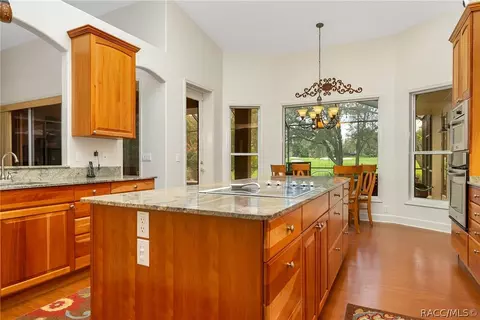 4671 N Pine Valley Loop, Lecanto, FL 34461 photo 13