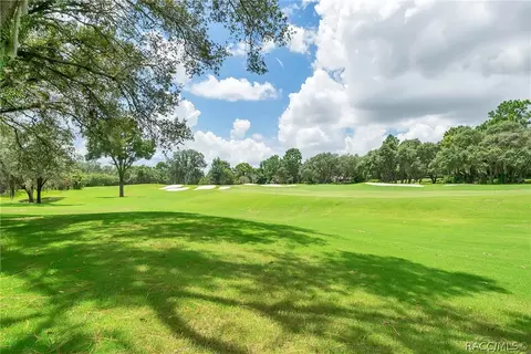 4671 N Pine Valley Loop, Lecanto, FL 34461 photo 44