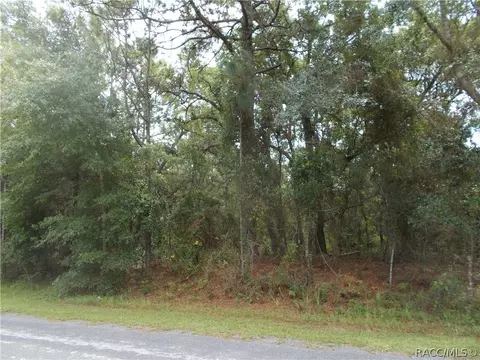922 W National St, Hernando, FL 34442 photo 3