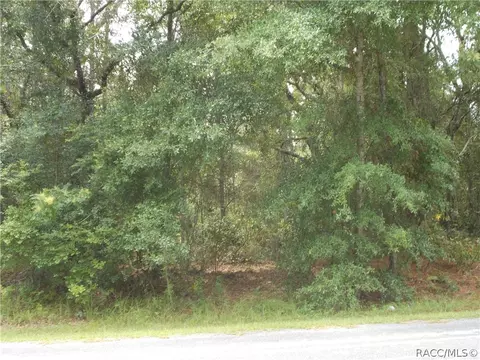 922 W National St, Hernando, FL 34442 photo 1