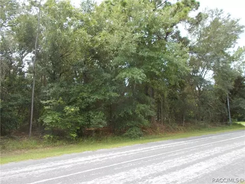 922 W National St, Hernando, FL 34442 photo 2