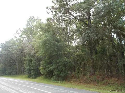 922 W National St, Hernando, FL 34442 photo 4