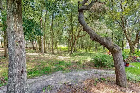 407 W Doerr Path, Hernando, FL 34442 photo 46