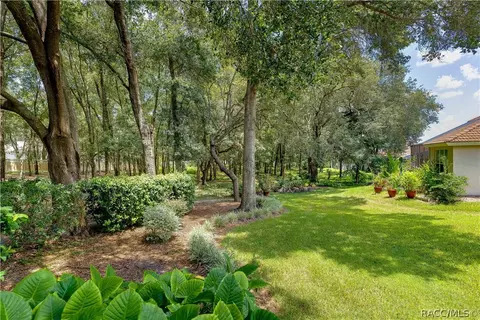 407 W Doerr Path, Hernando, FL 34442 photo 43