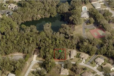 2901 N Folkestone Loop, Hernando, FL 34442 photo 1