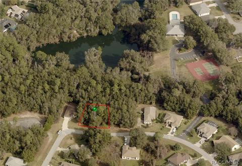 2919 N Folkestone Loop, Hernando, FL 34442 photo 1
